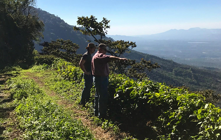 Miguel Menendez farm
