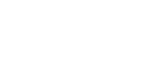 Traveler